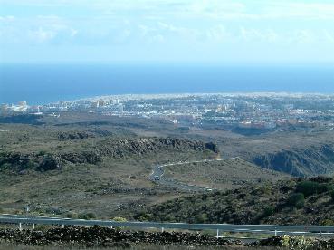 canari11